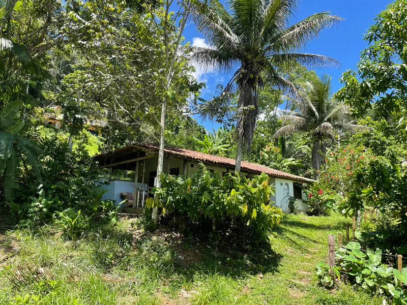 Casa Porto Cultural — maison au cœur de la Mata Atlântica, Bahia, Brésil