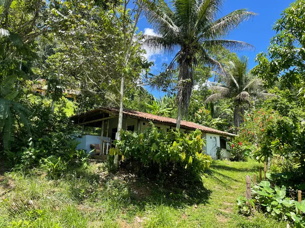 Casa Porto Cultural - maison au cœur de la Mata Atlântica, Bahia, Brésil